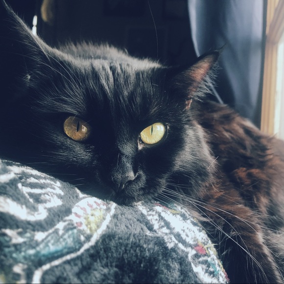 Meet your Posher, Denise - Picture 1 of 1